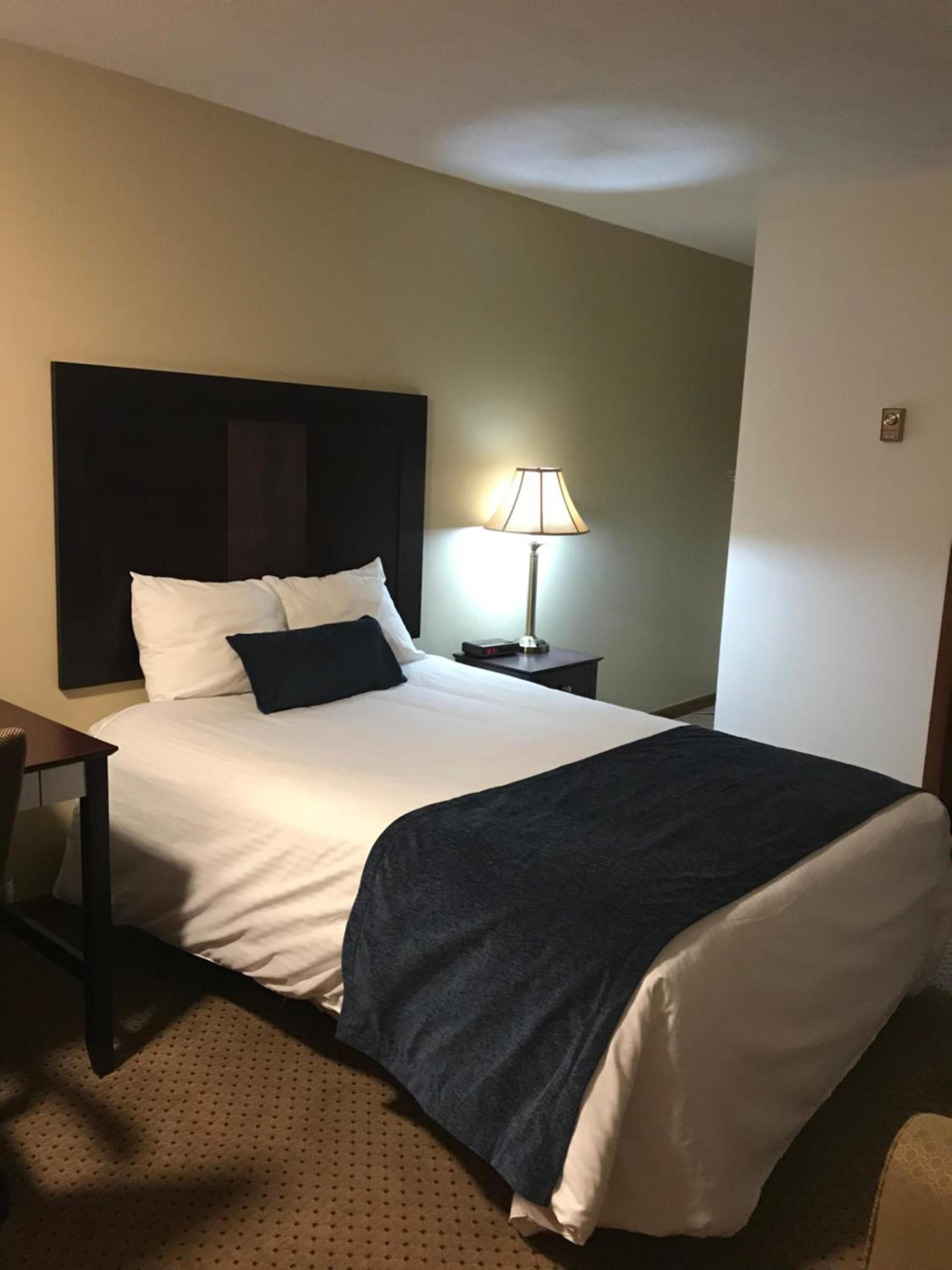 Brentwood Motor Inn photo 26