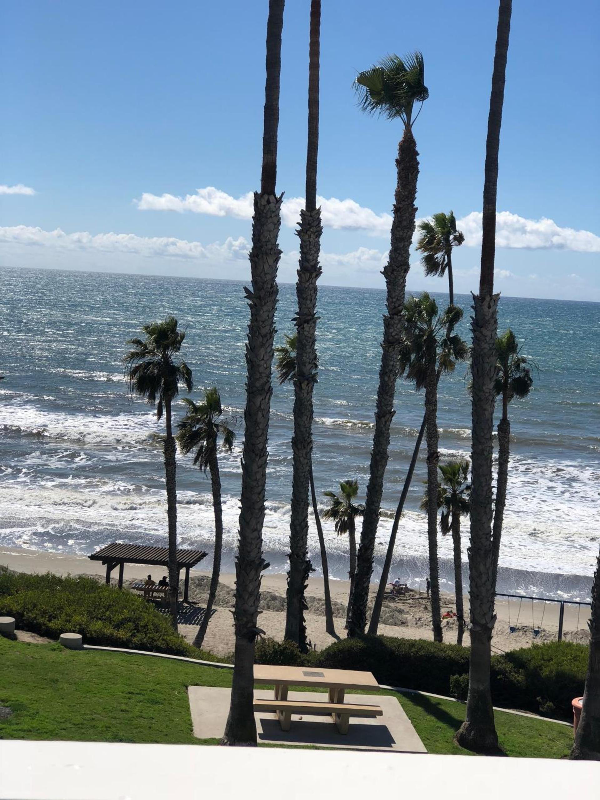 Sea Horse Resort photo 40