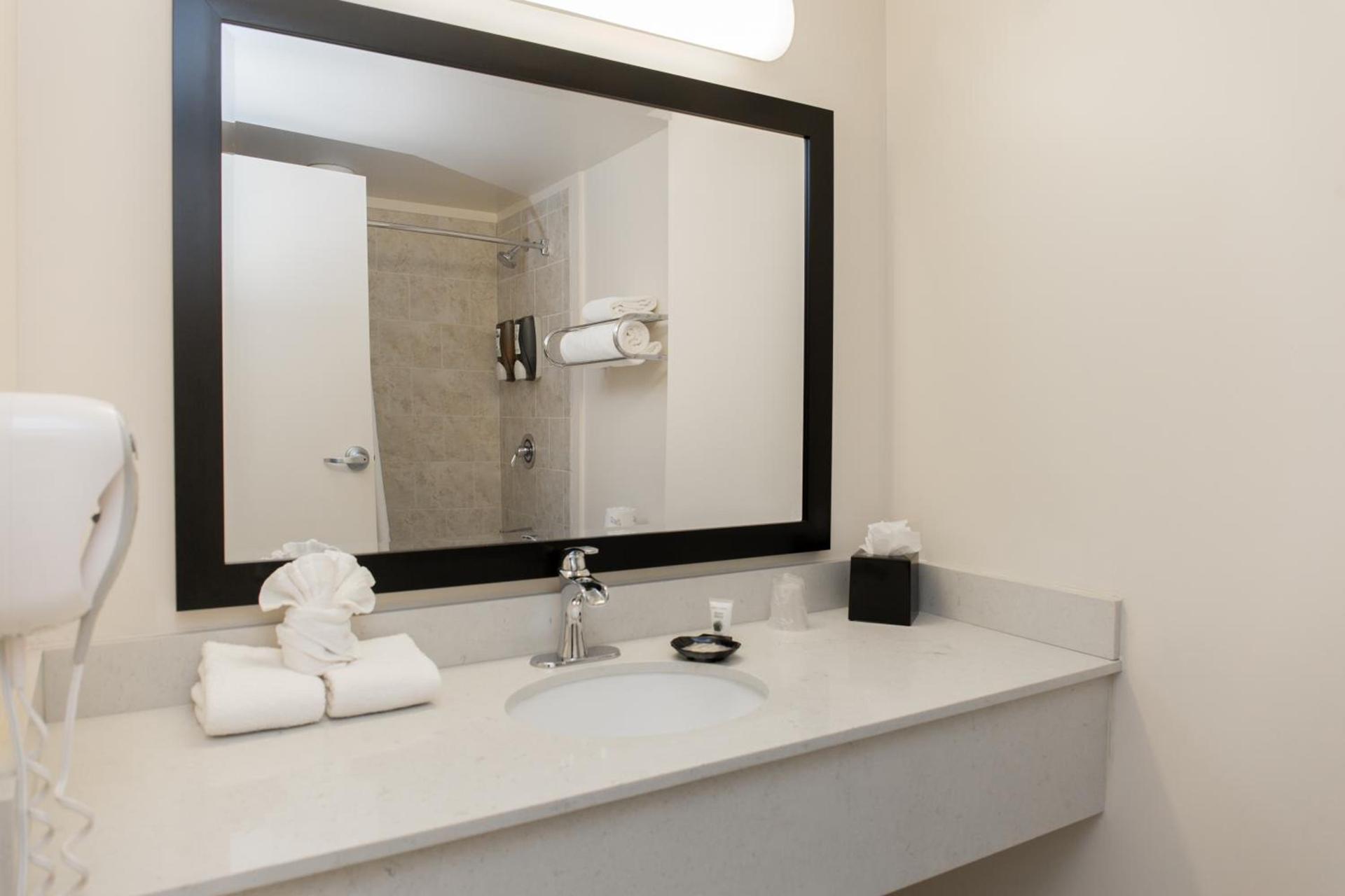 Chicago South Loop Hotel photo 61