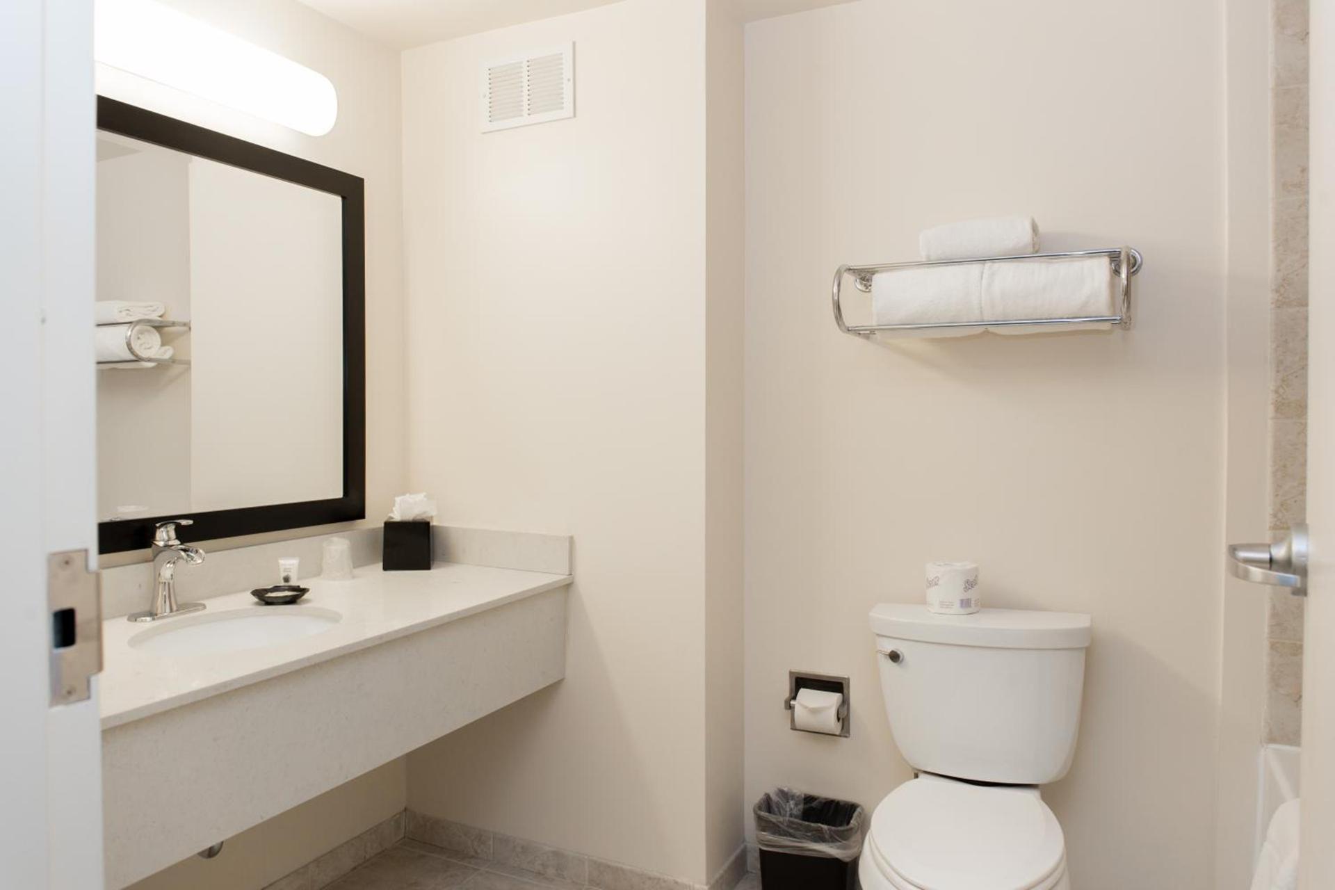 Chicago South Loop Hotel photo 62