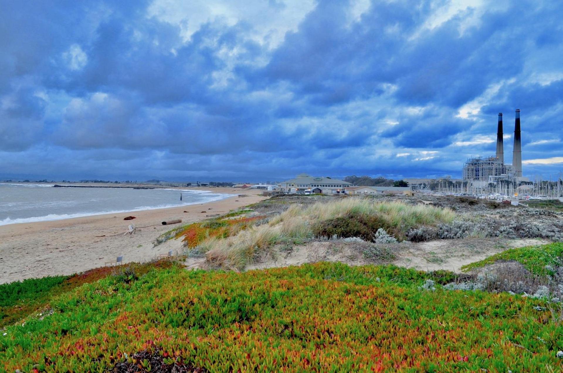 Captain's Inn at Moss Landing photo 9