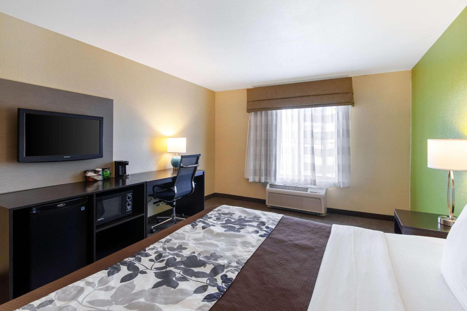 Spark by Hilton Killeen photo 12
