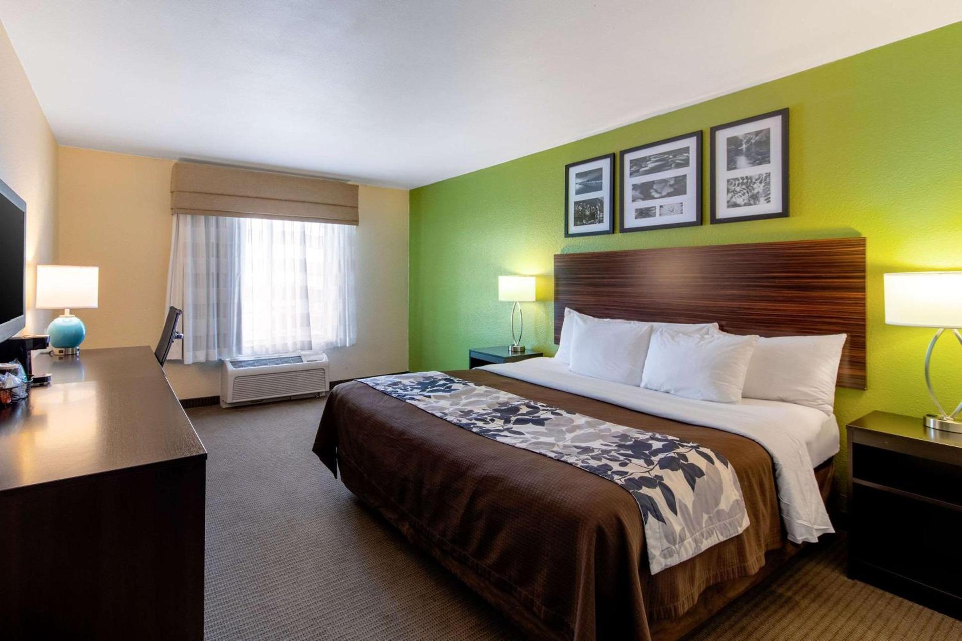 Spark by Hilton Killeen photo 10