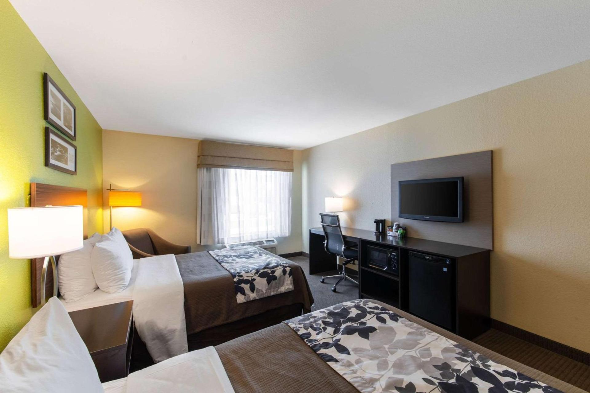 Spark by Hilton Killeen photo 16