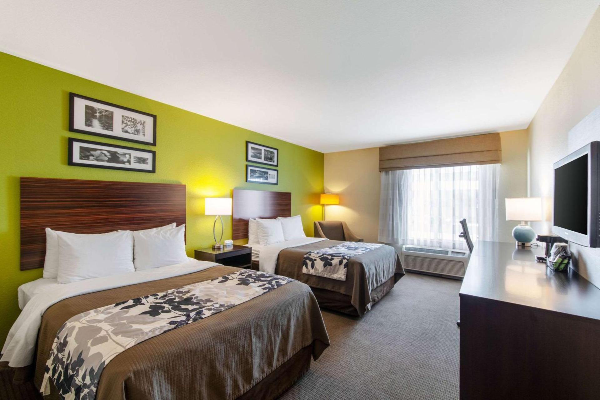 Spark by Hilton Killeen photo 15