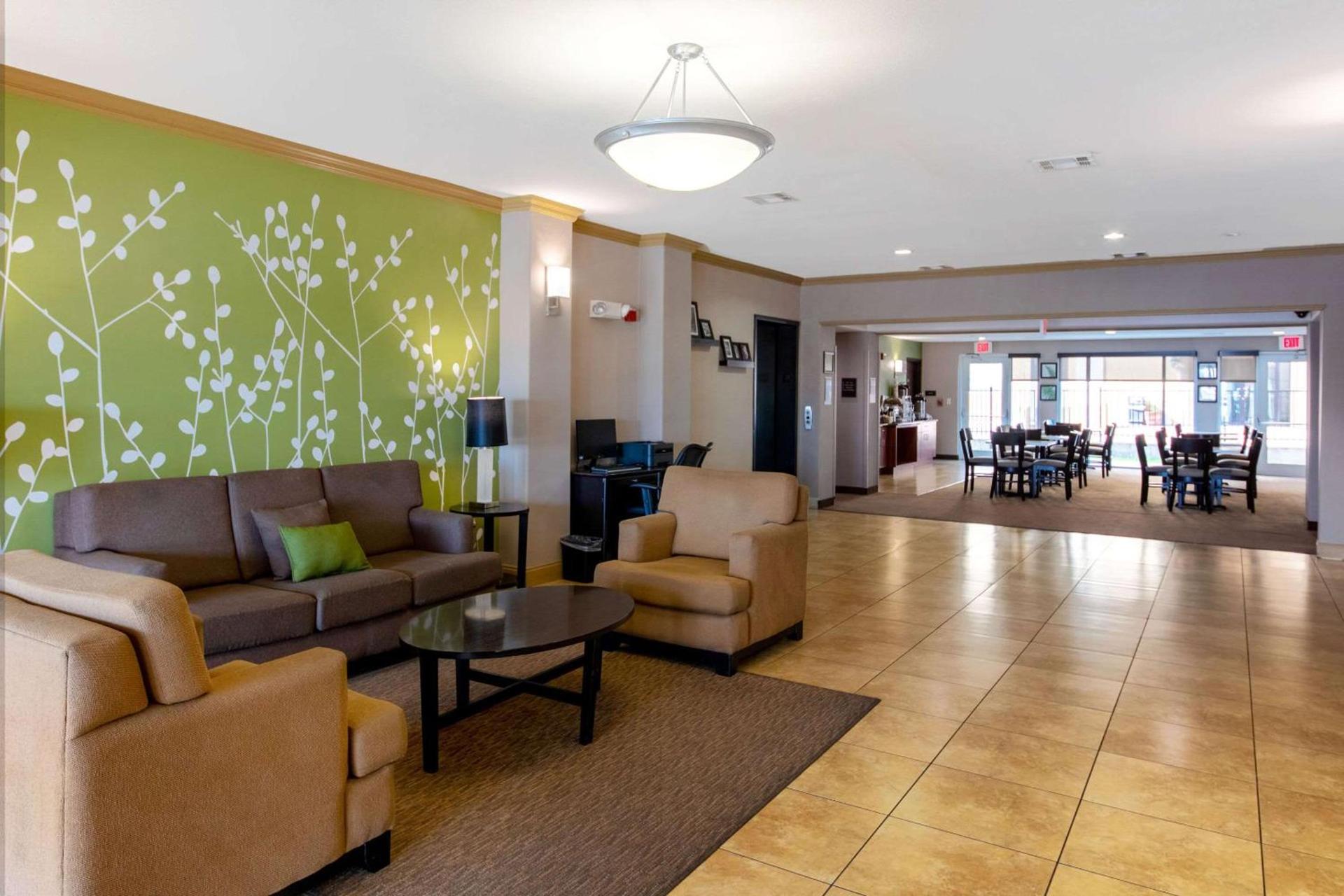 Spark by Hilton Killeen photo 6