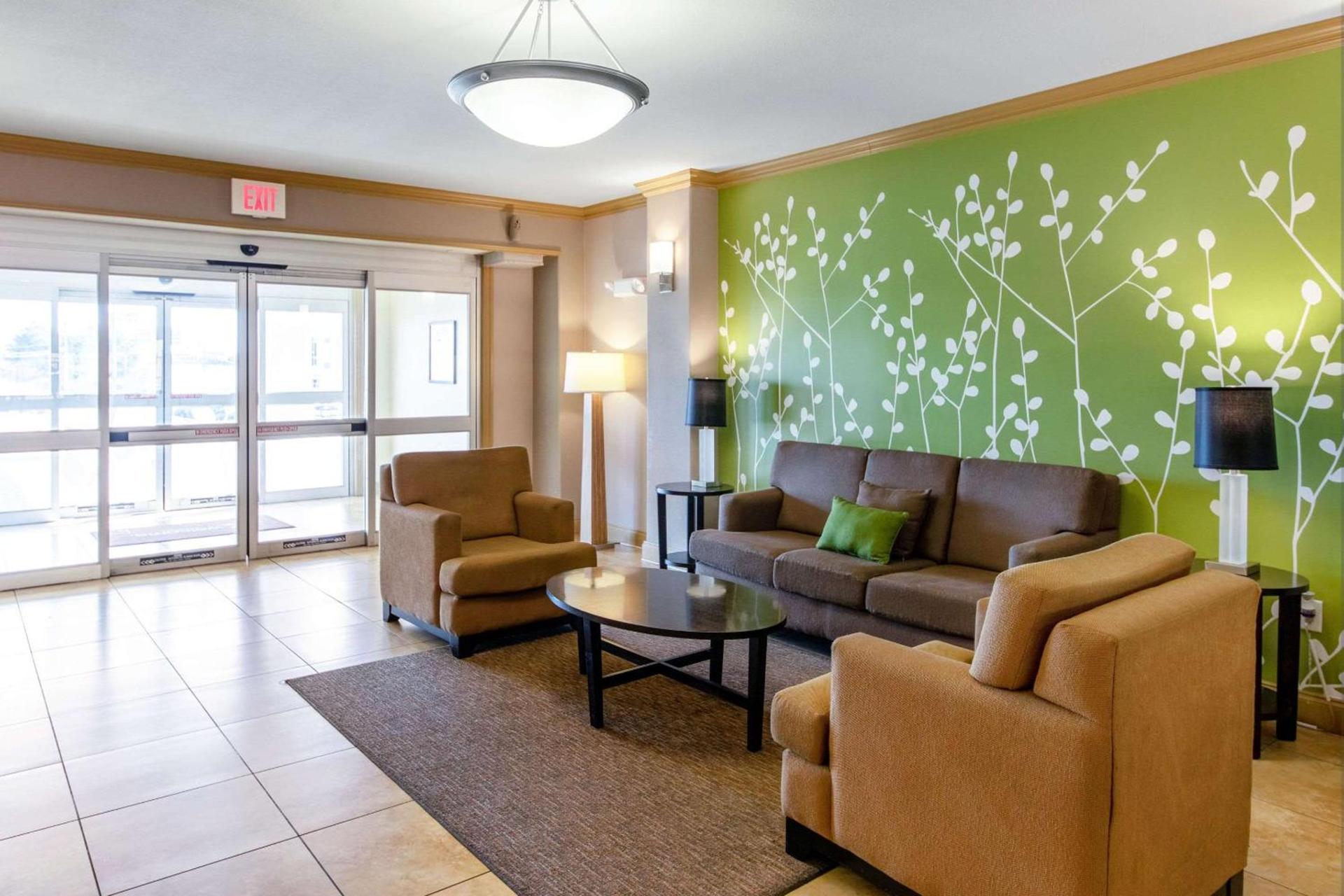 Spark by Hilton Killeen photo 8