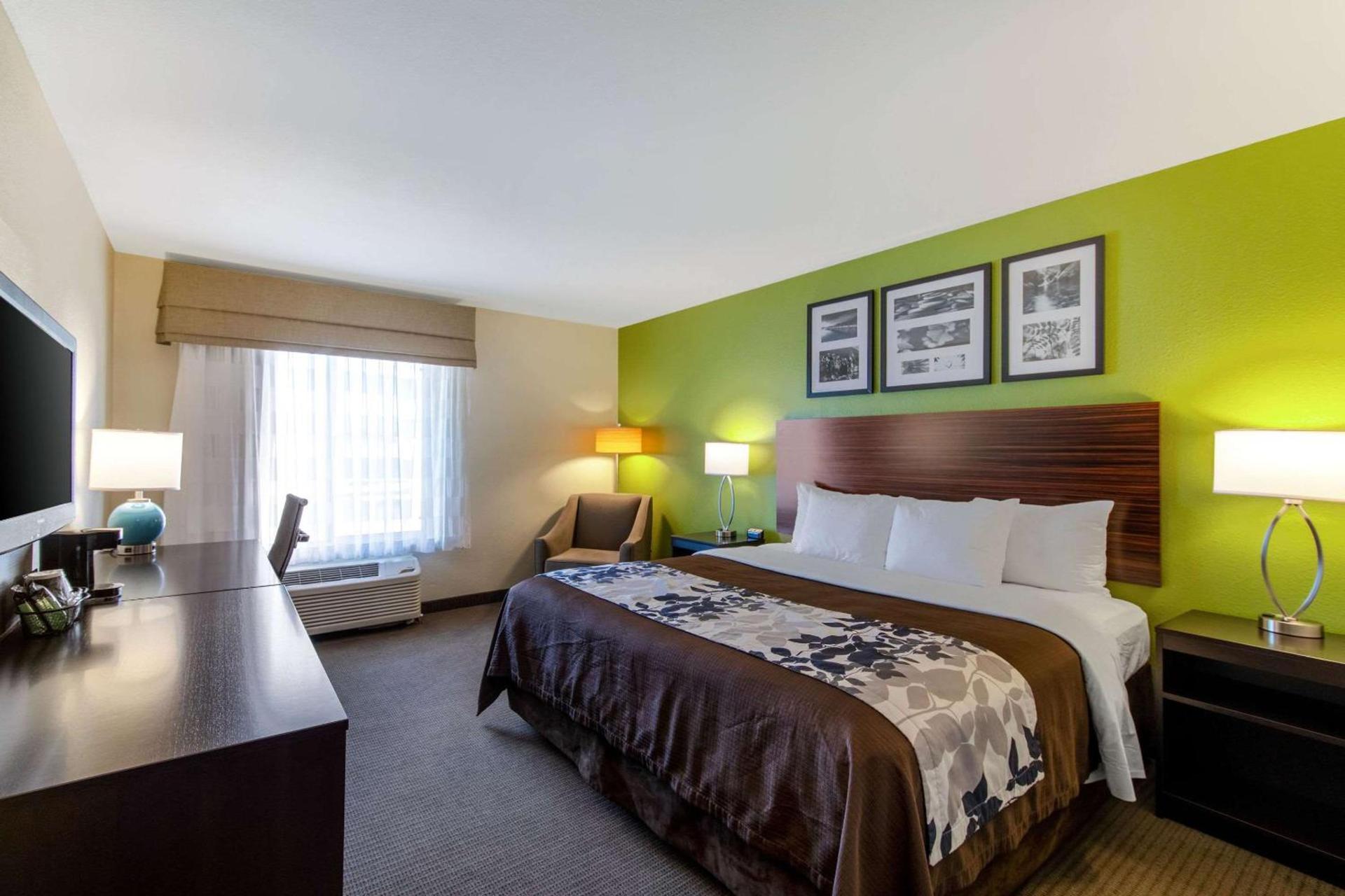 Spark by Hilton Killeen photo 9