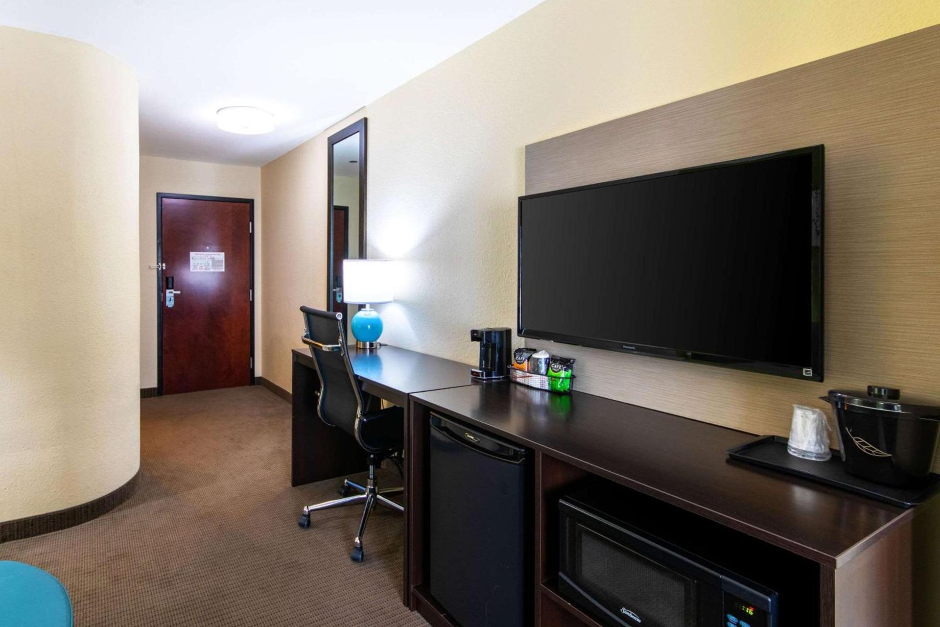 Spark by Hilton Killeen photo 23