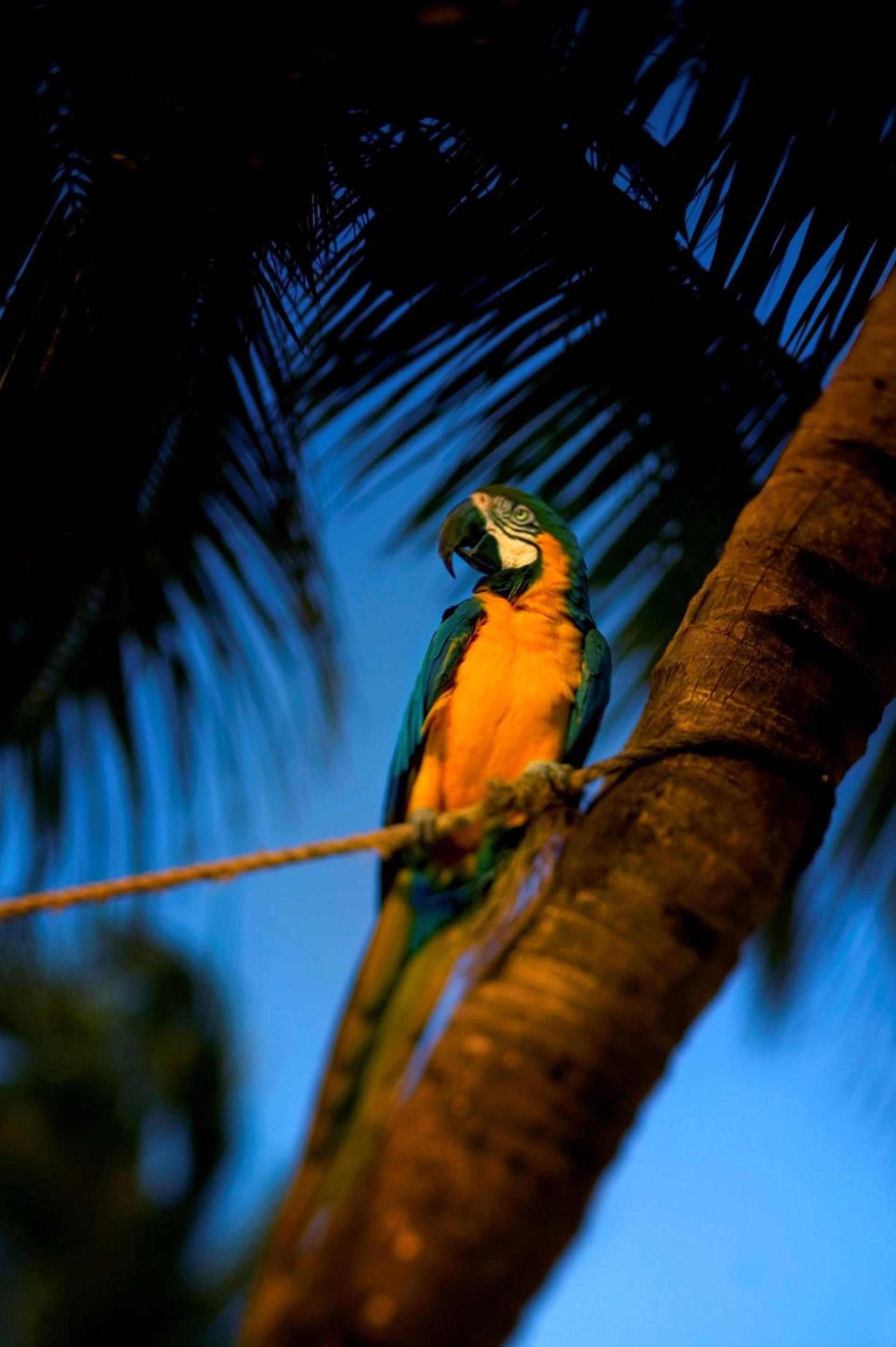 Hyatt Centric Key West Resort & Spa photo 37