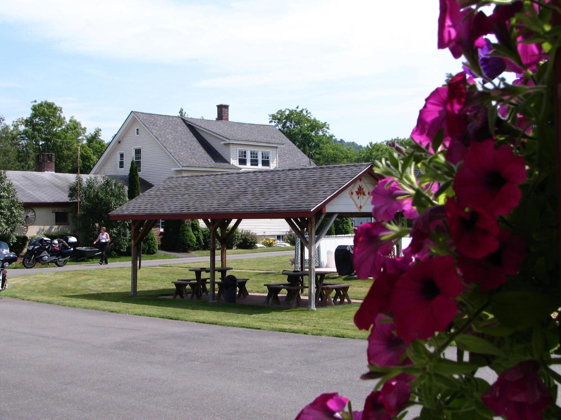 Maple Leaf Motel photo 19