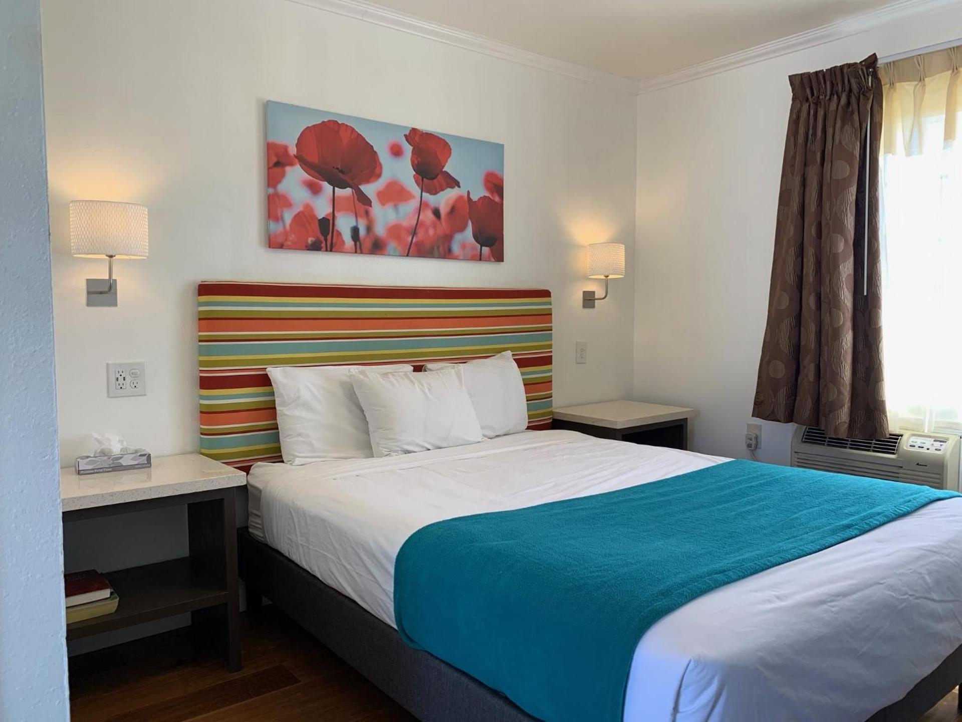 Sandyland Reef Inn photo 2