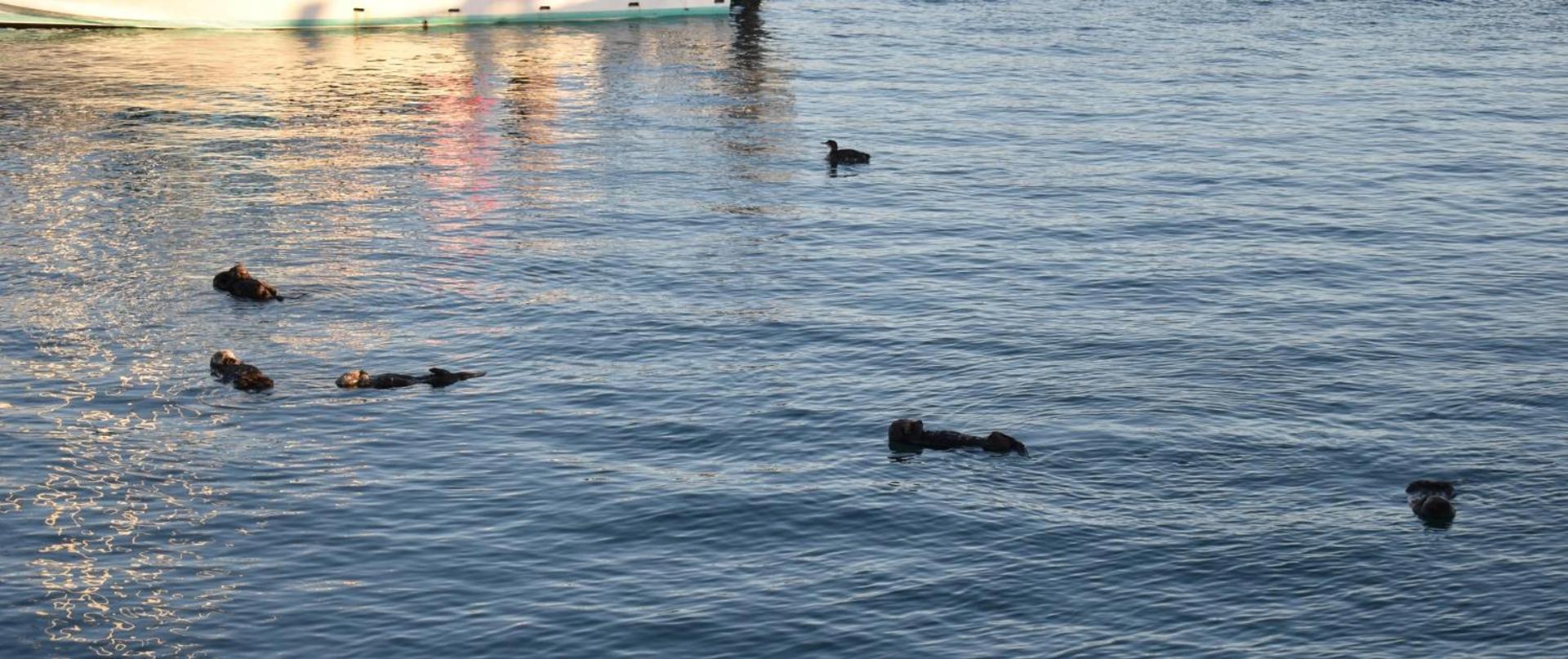 Rockview Inn and Suites - Morro Bay CA photo 9