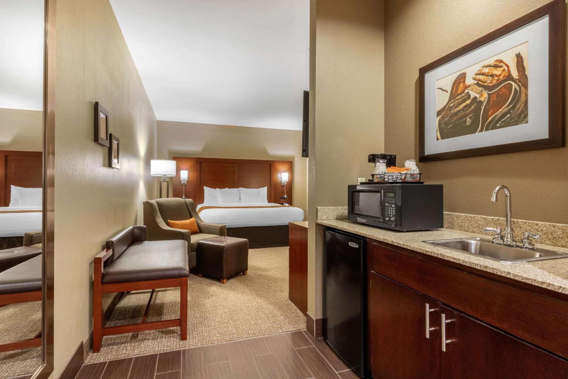 Comfort Inn Memphis Downtown photo 49