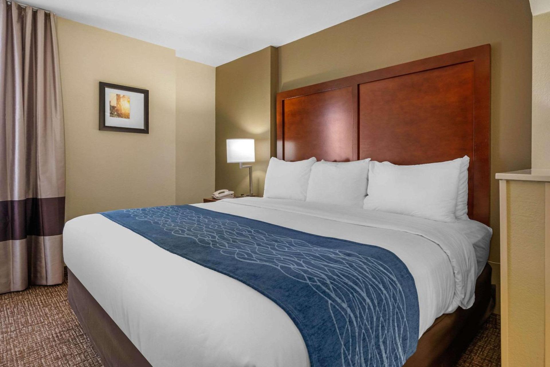 Comfort Inn Ocala Silver Springs photo 18