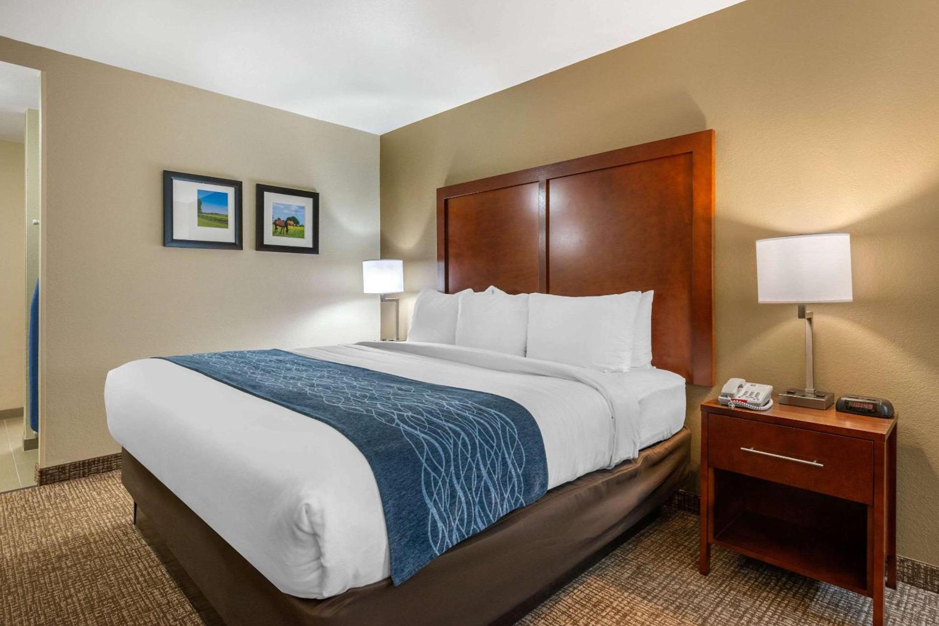 Comfort Inn Ocala Silver Springs photo 16