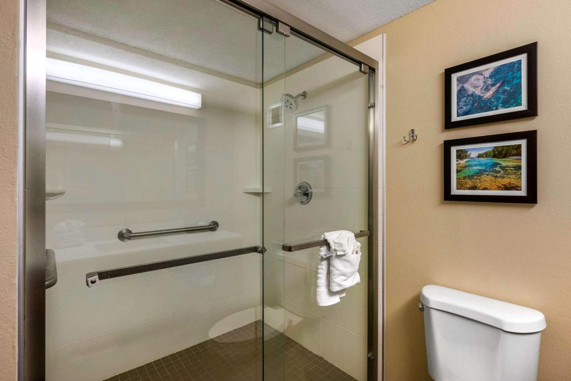 Comfort Inn Ocala Silver Springs photo 30