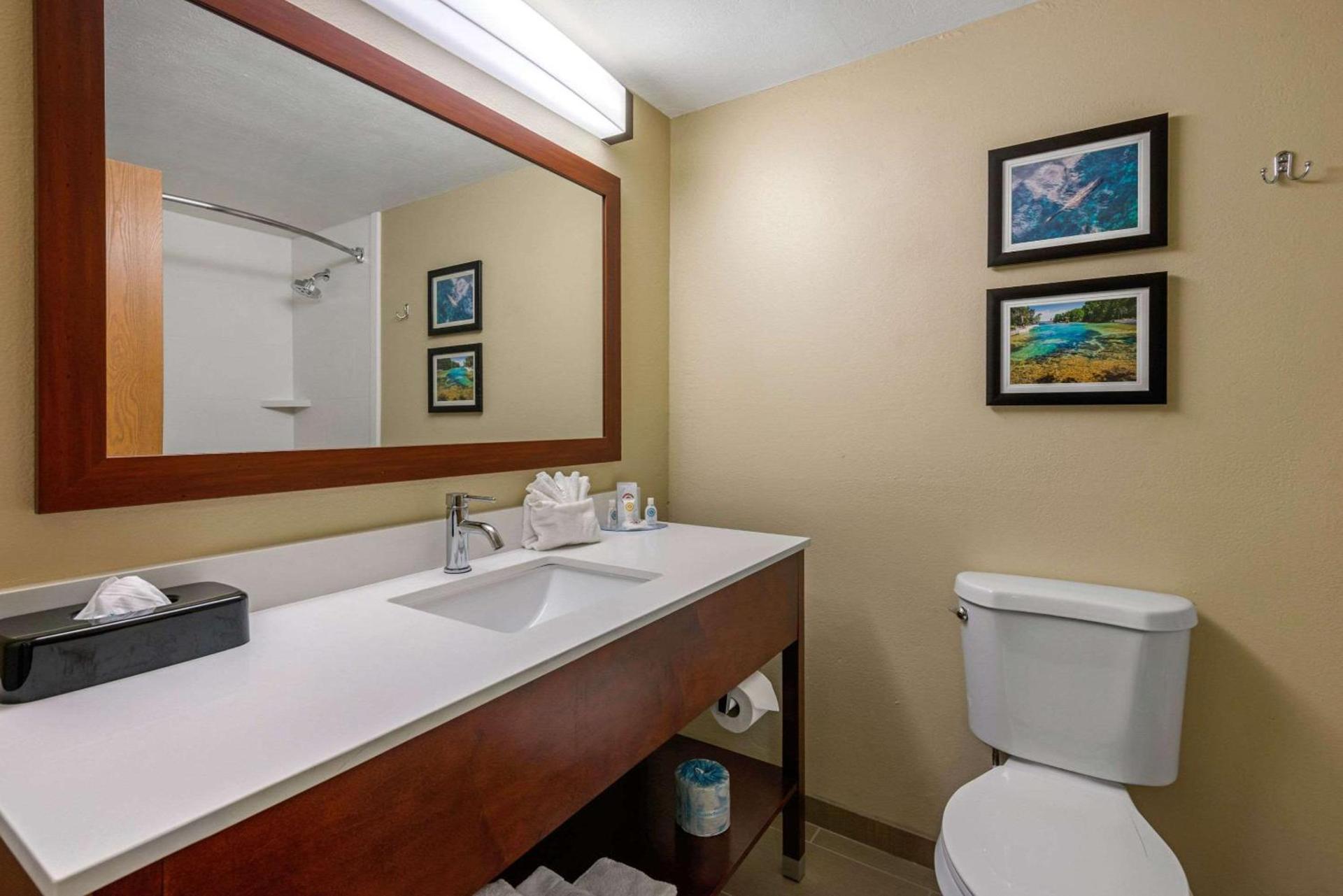 Comfort Inn Ocala Silver Springs photo 14