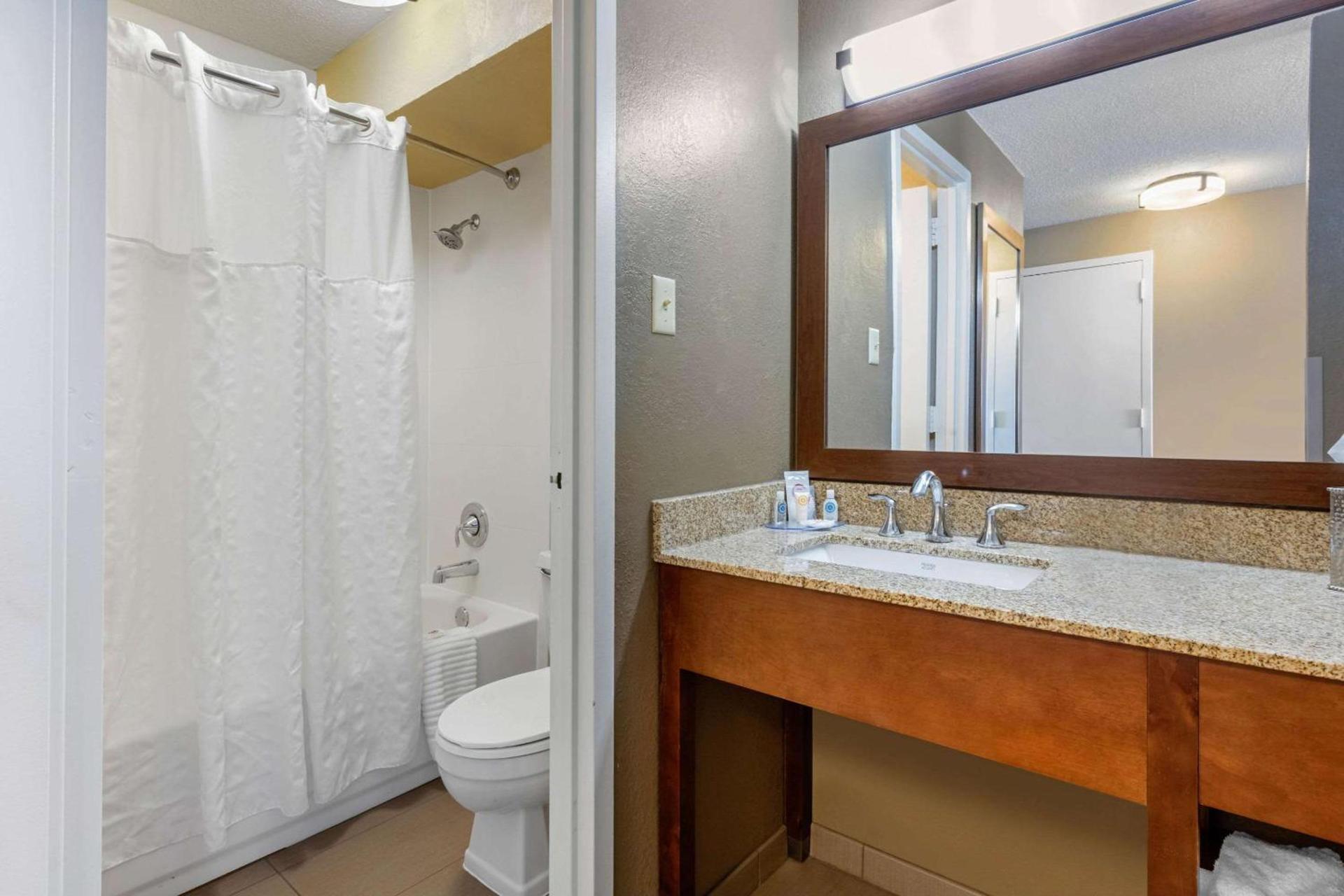 Comfort Inn Memphis Downtown photo 43