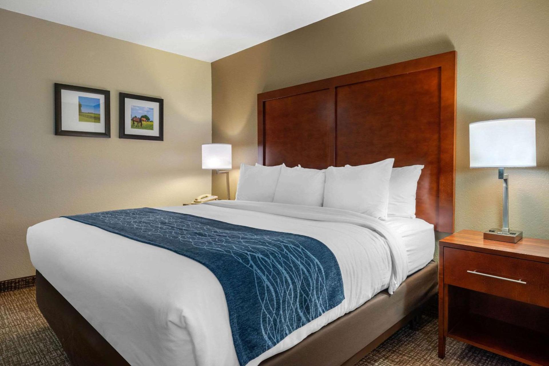 Comfort Inn Ocala Silver Springs photo 4