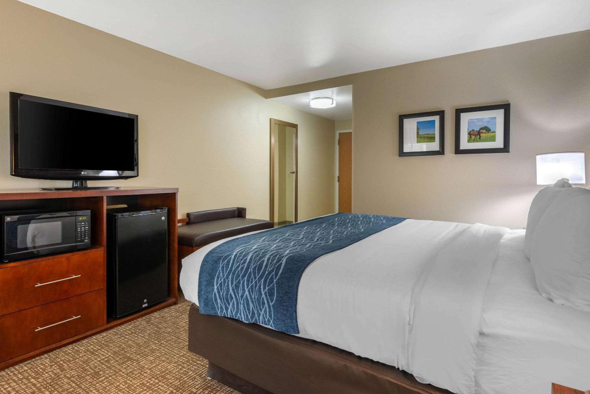 Comfort Inn Ocala Silver Springs photo 7