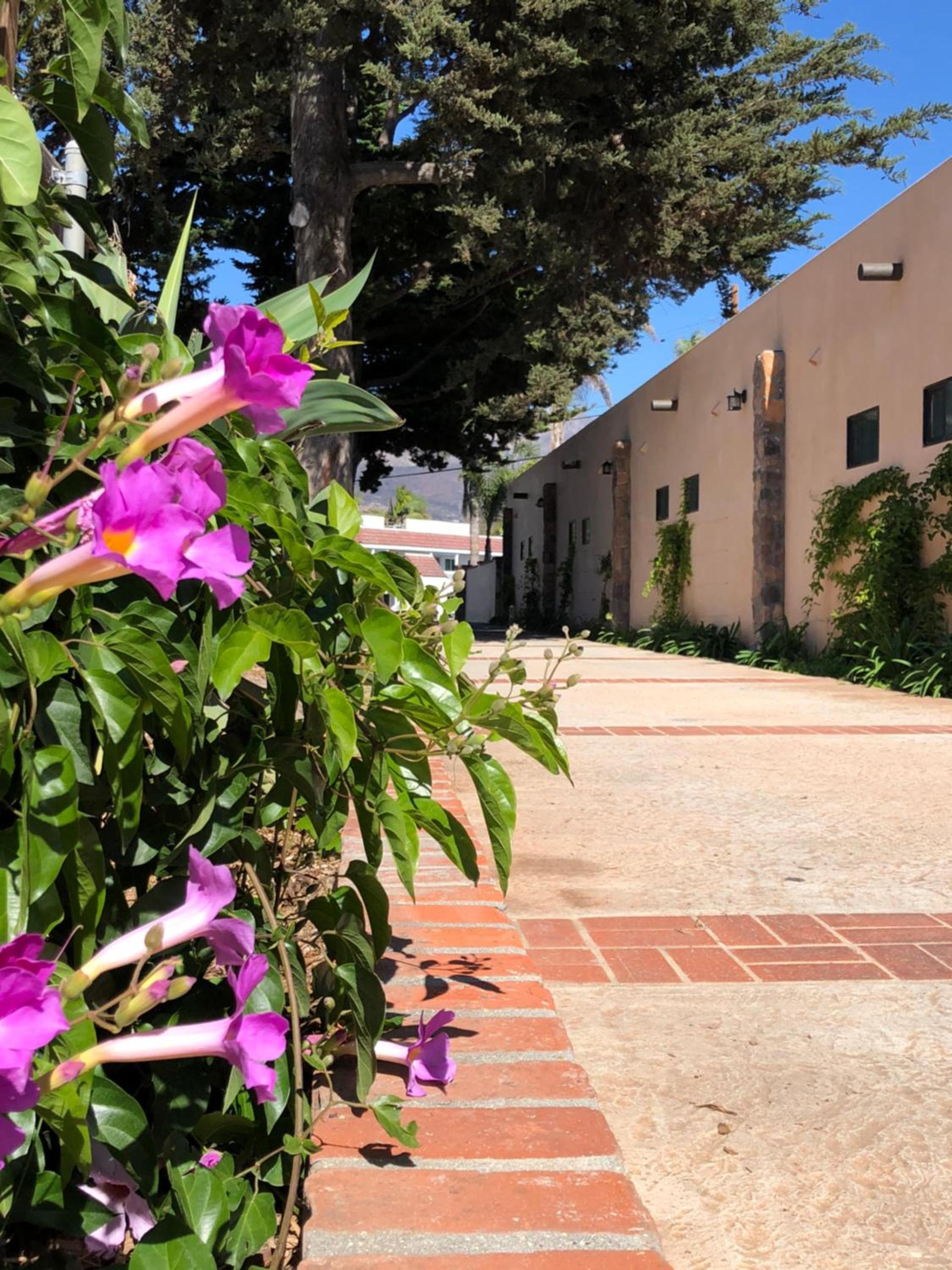 Casa Del Sol photo 37