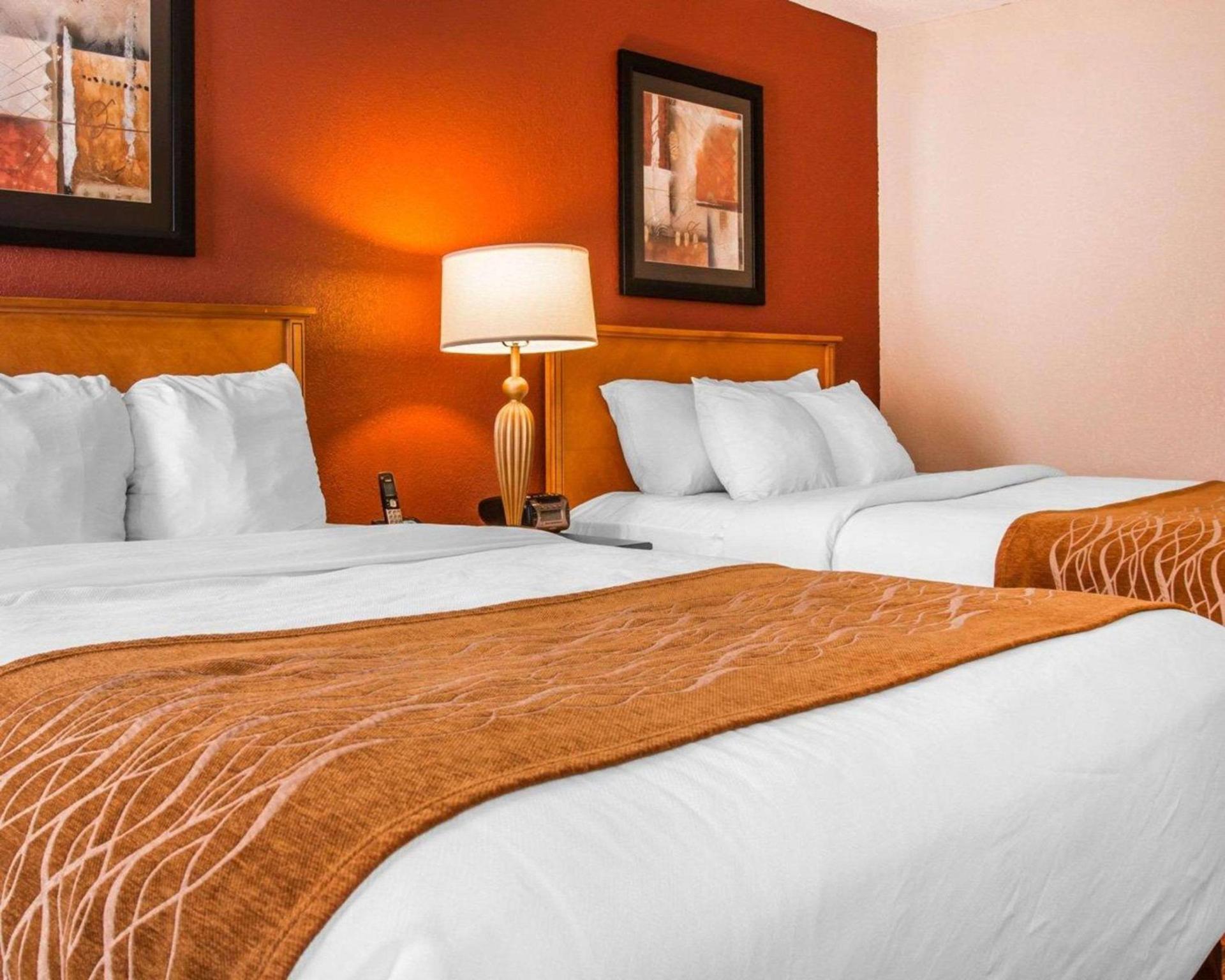 Comfort Inn & Suites and Conference Center photo 10