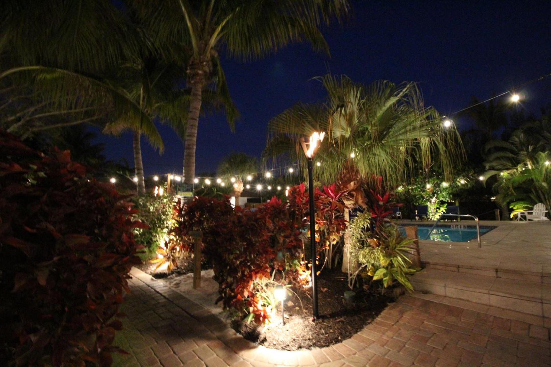 Siesta Key Palms Resort photo 39
