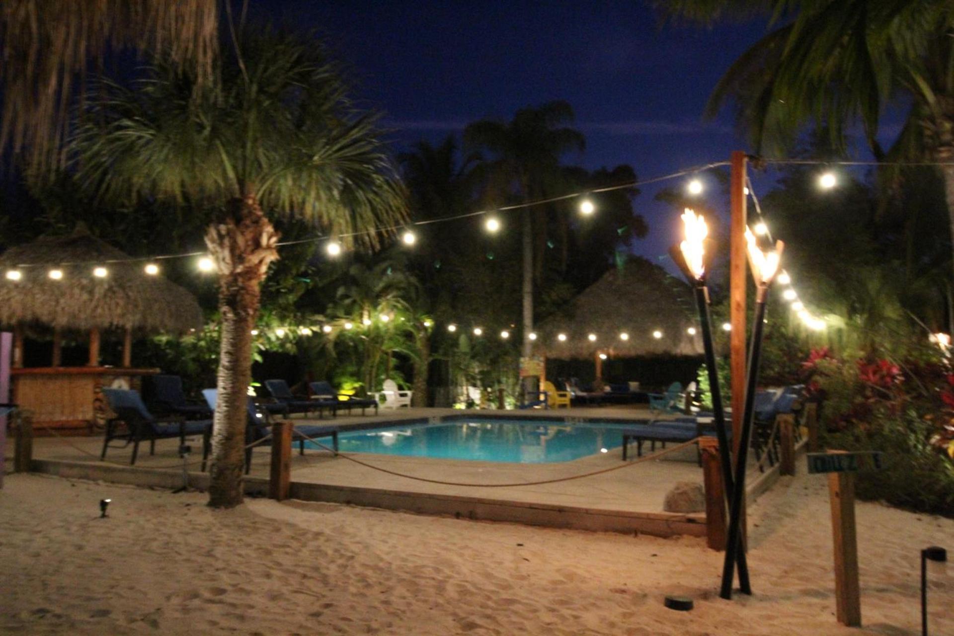 Siesta Key Palms Resort photo 59