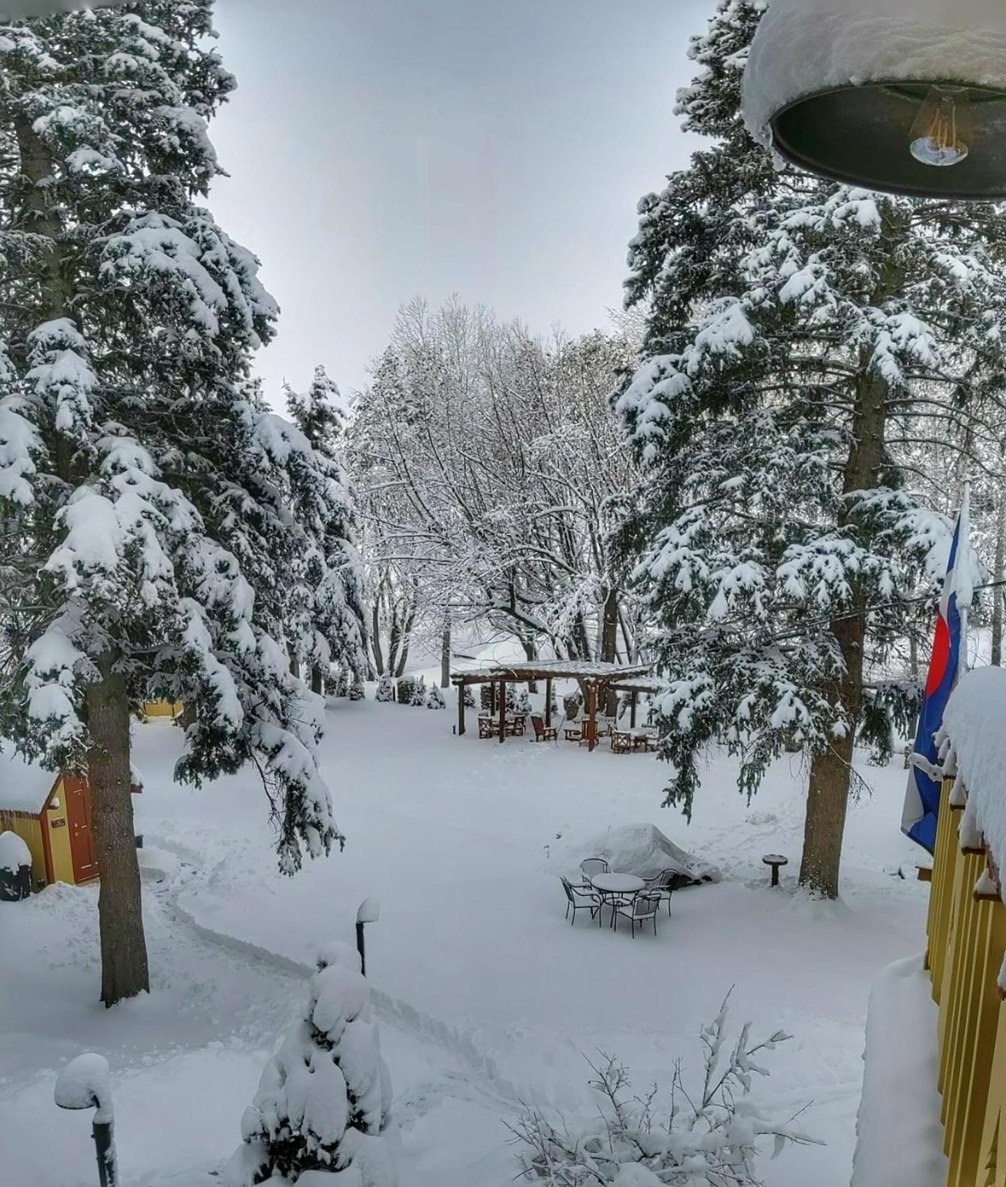 Alpen Way Chalet Mountain Lodge photo 18