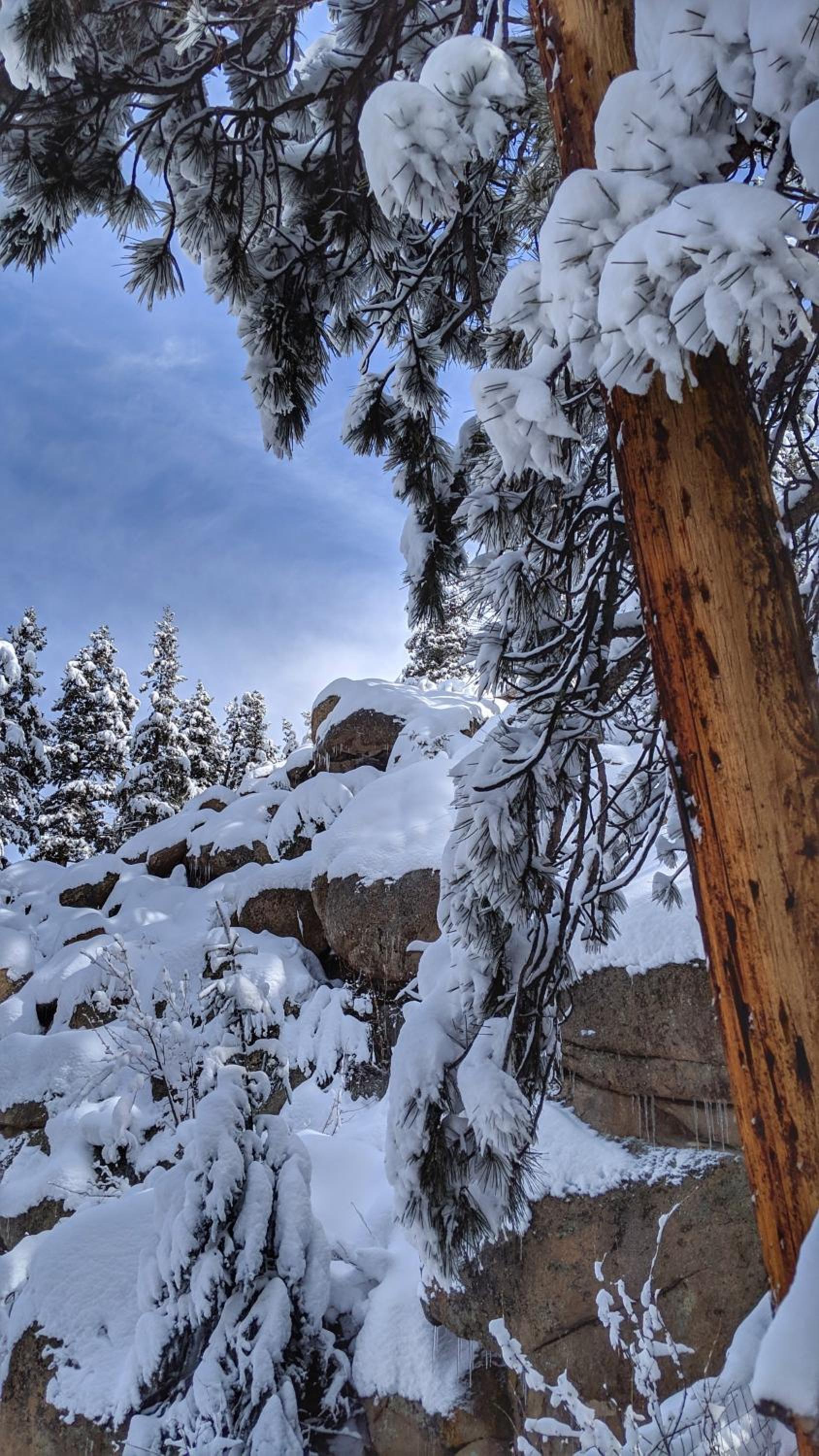 Alpen Way Chalet Mountain Lodge photo 21
