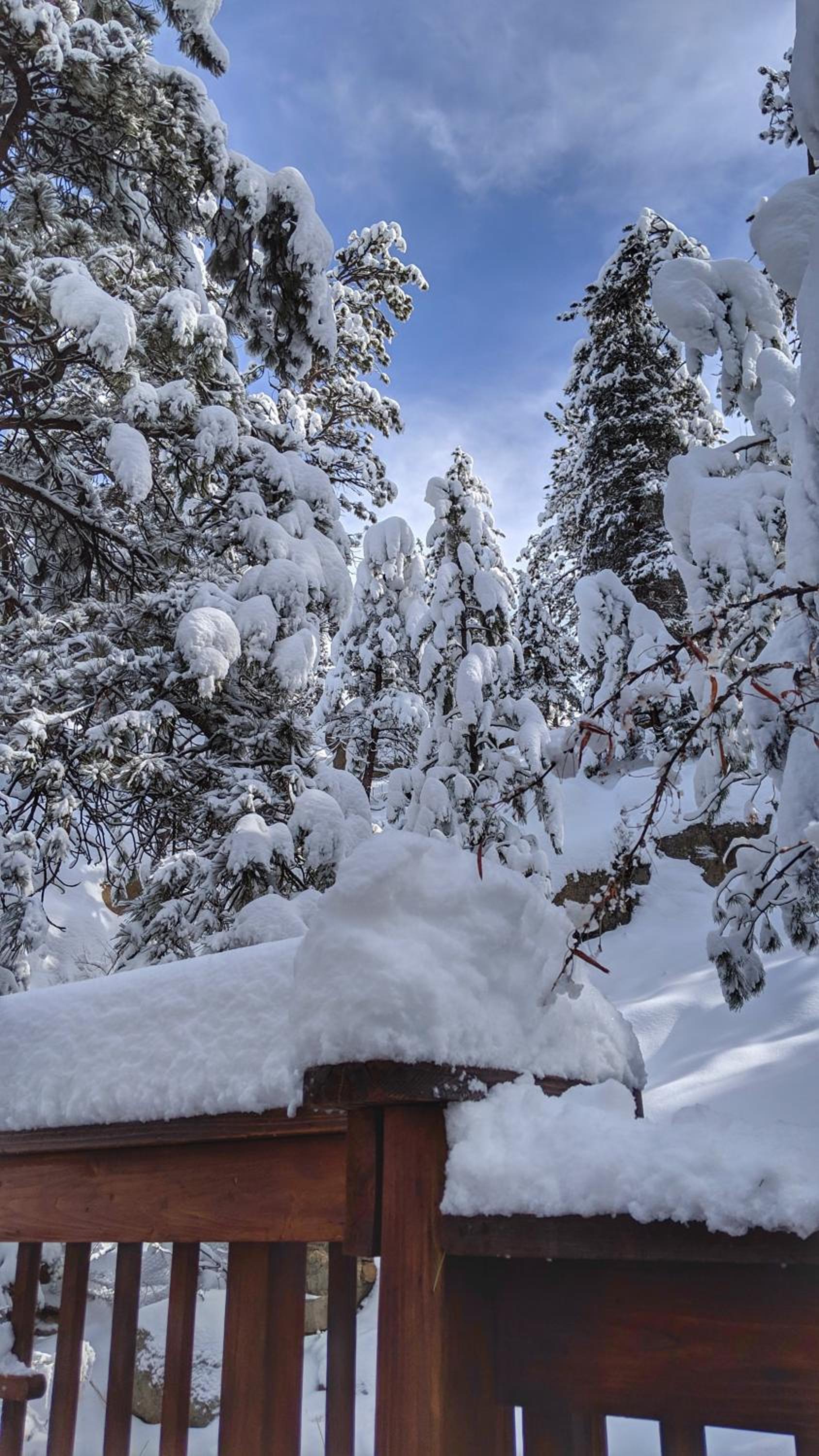 Alpen Way Chalet Mountain Lodge photo 23