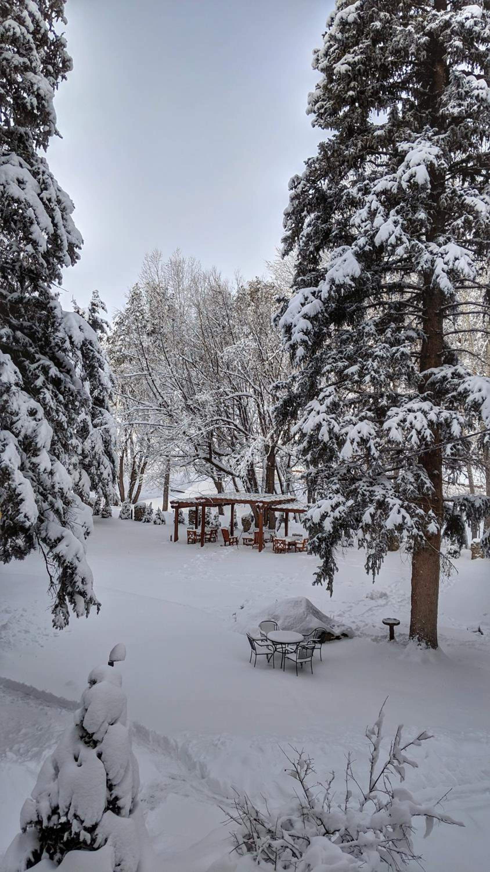 Alpen Way Chalet Mountain Lodge photo 24