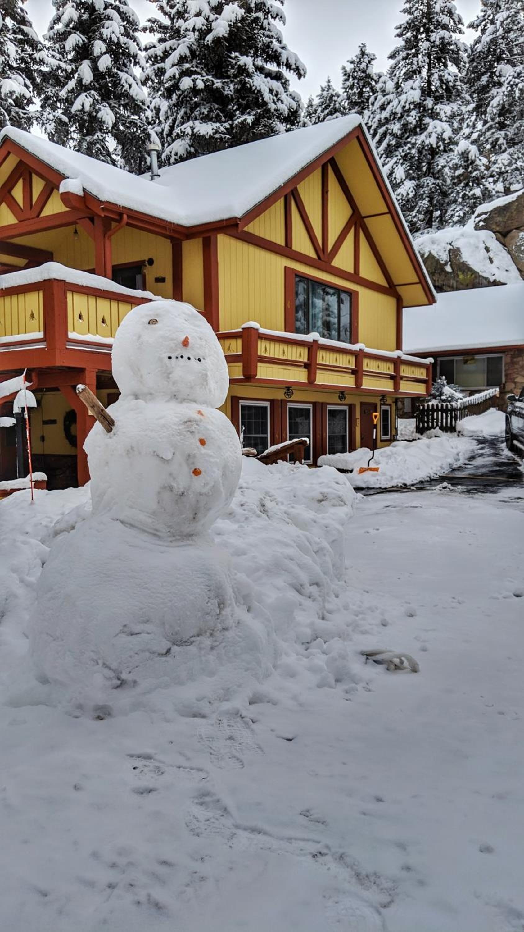 Alpen Way Chalet Mountain Lodge photo 25