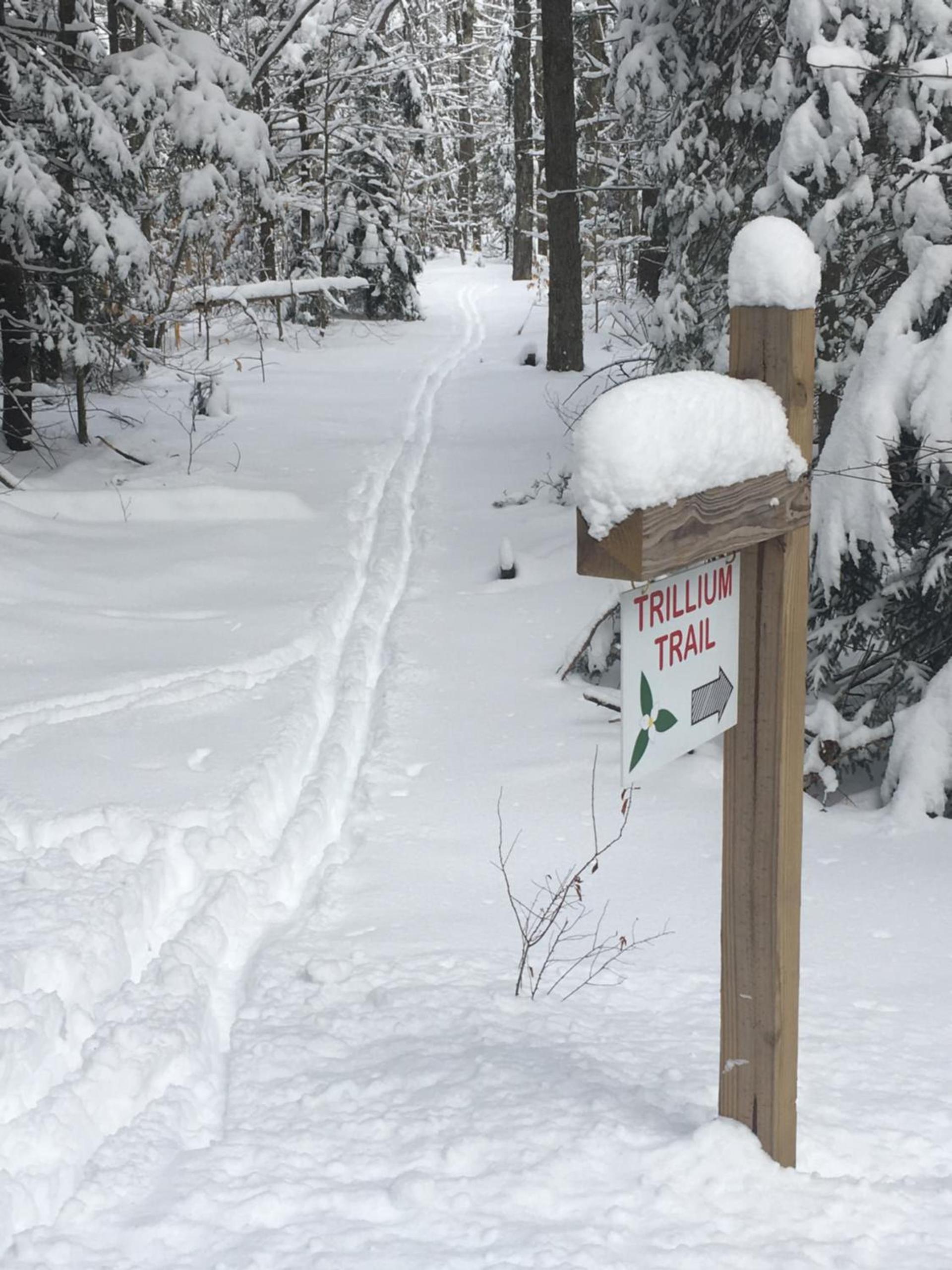 Robert Frost Mountain Cabins photo 11