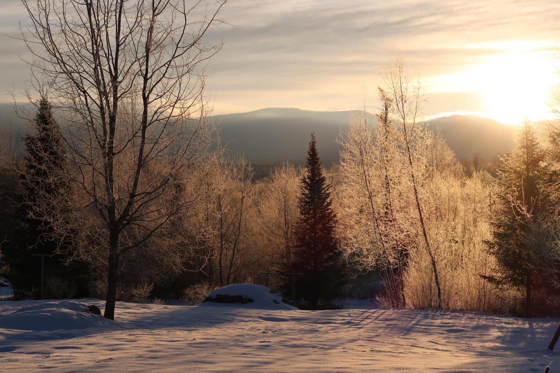 Robert Frost Mountain Cabins photo 19