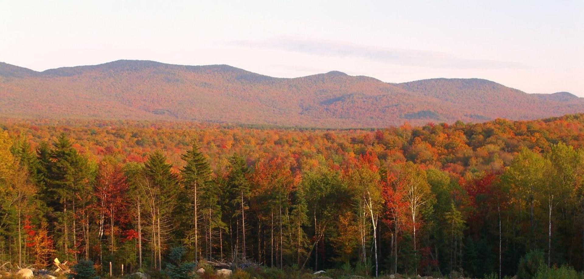 Robert Frost Mountain Cabins photo 4