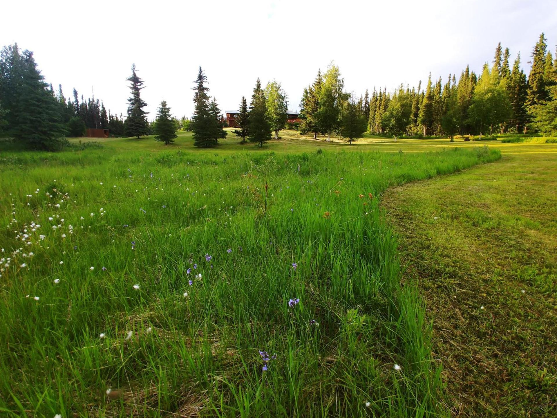 Northern Sky Lodge photo 7