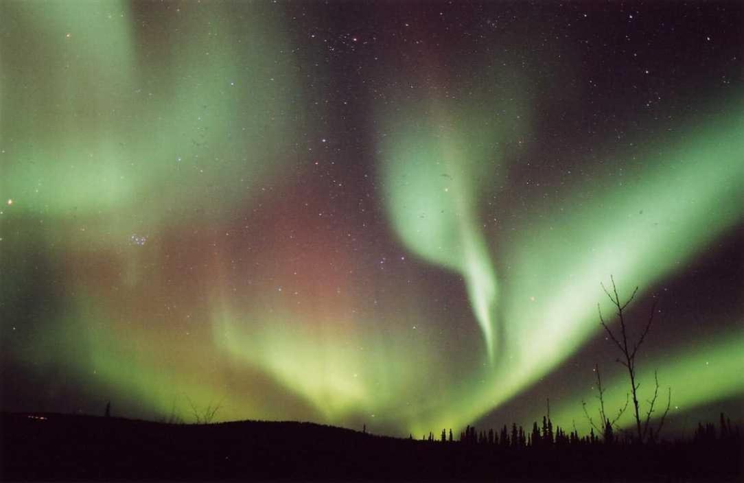 Northern Sky Lodge photo 5