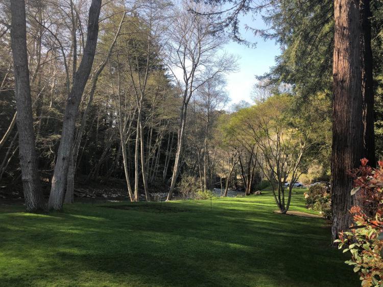 Big Sur River Inn photo 2