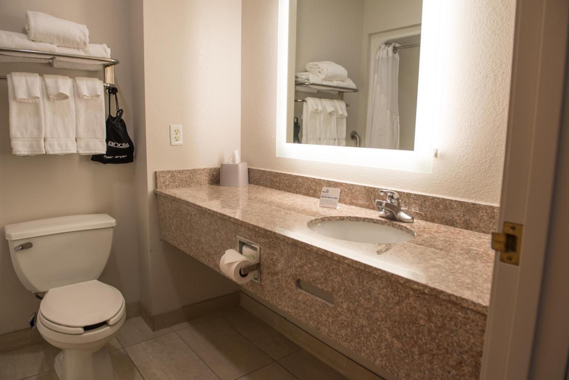 Holiday Inn Express Hotel & Suites Elkhart-South by IHG photo 10