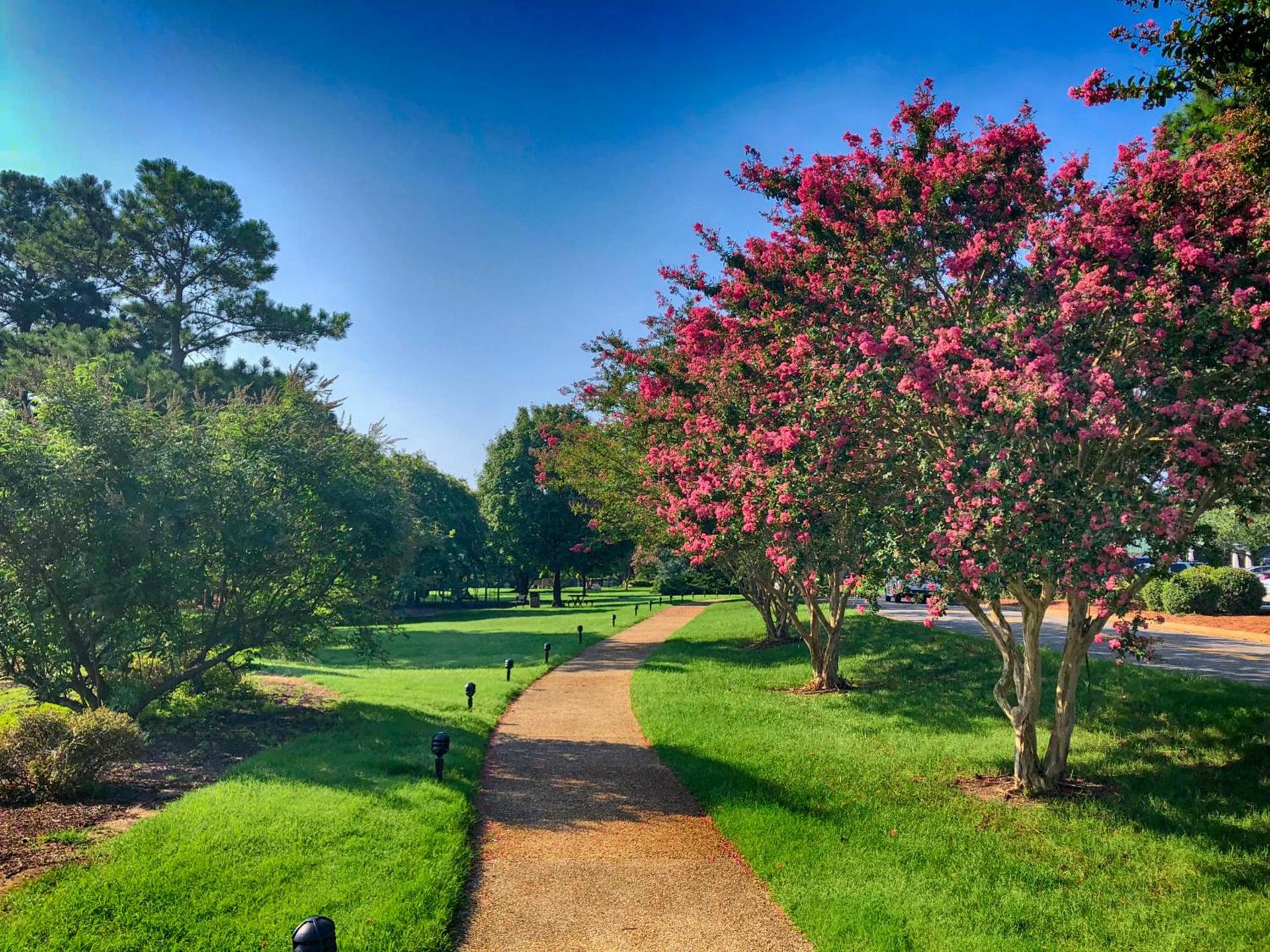 Kingsmill Resort photo 19