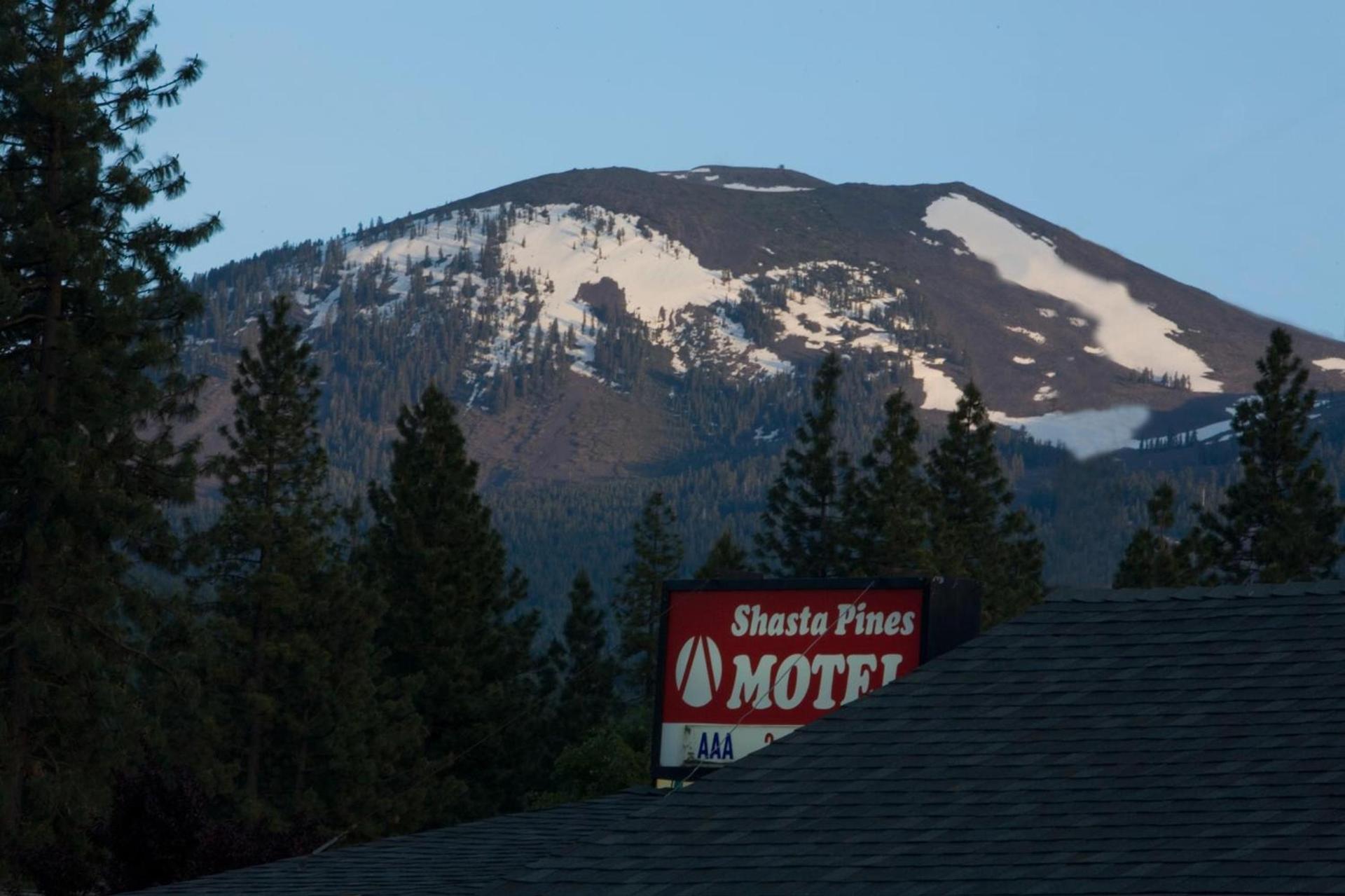 Shasta Pines Motel & Suites photo 44