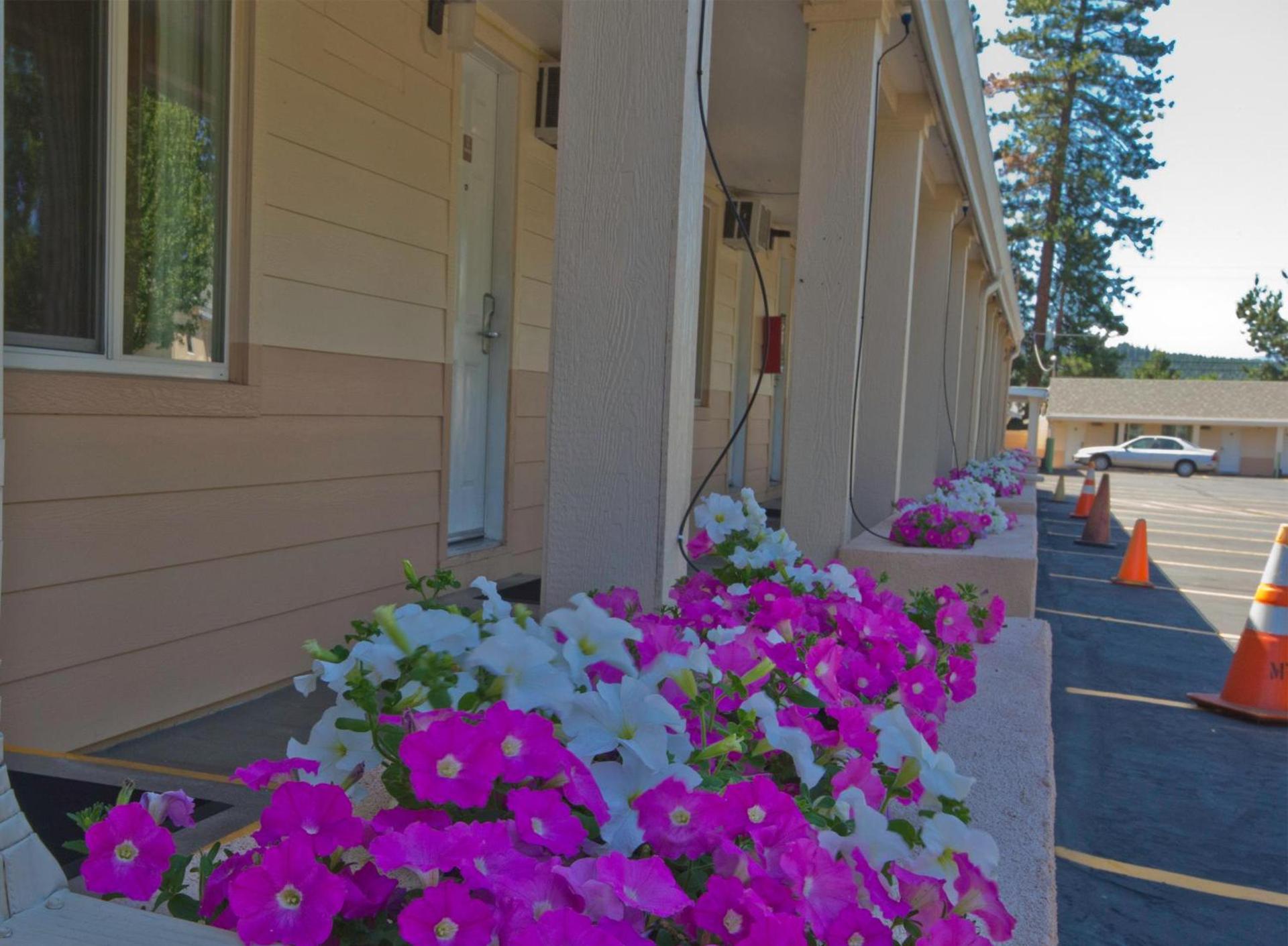 Shasta Pines Motel & Suites photo 40