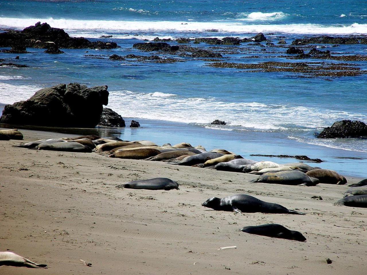 Rockview Inn and Suites - Morro Bay CA photo 6