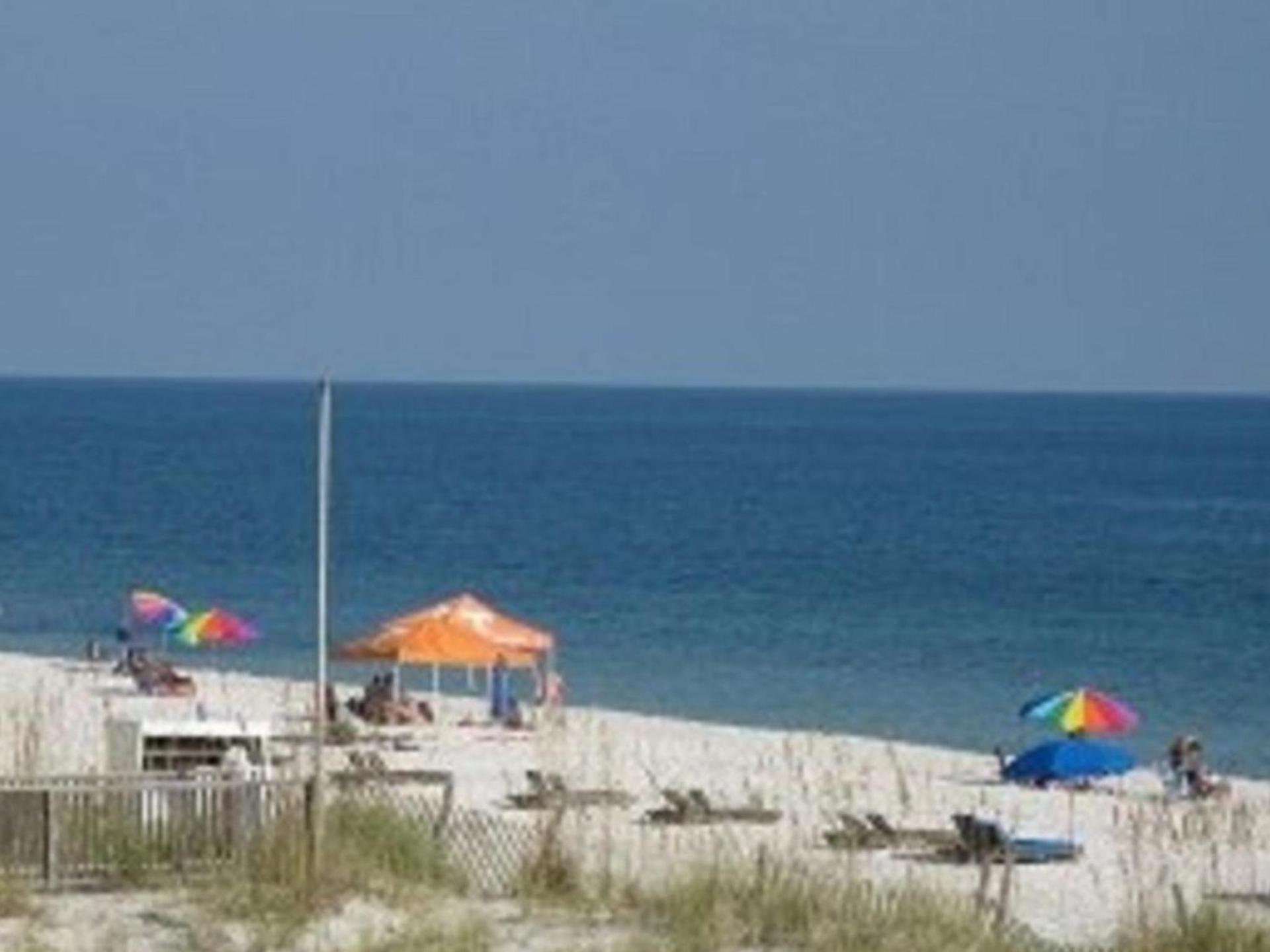 Bill’s at Gulf Shores photo 9