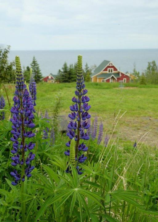 Cove Point Lodge photo 35