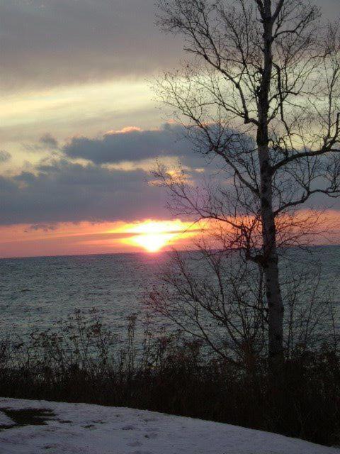 Cove Point Lodge photo 2