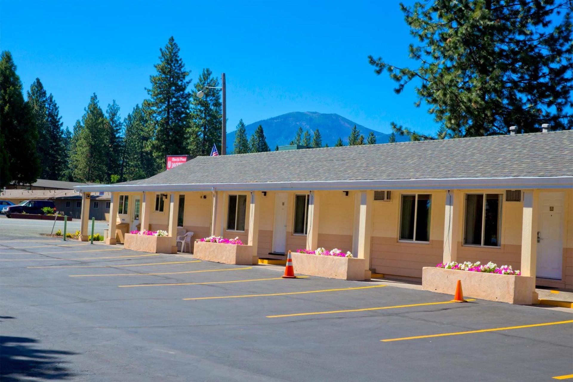 Shasta Pines Motel & Suites photo 17