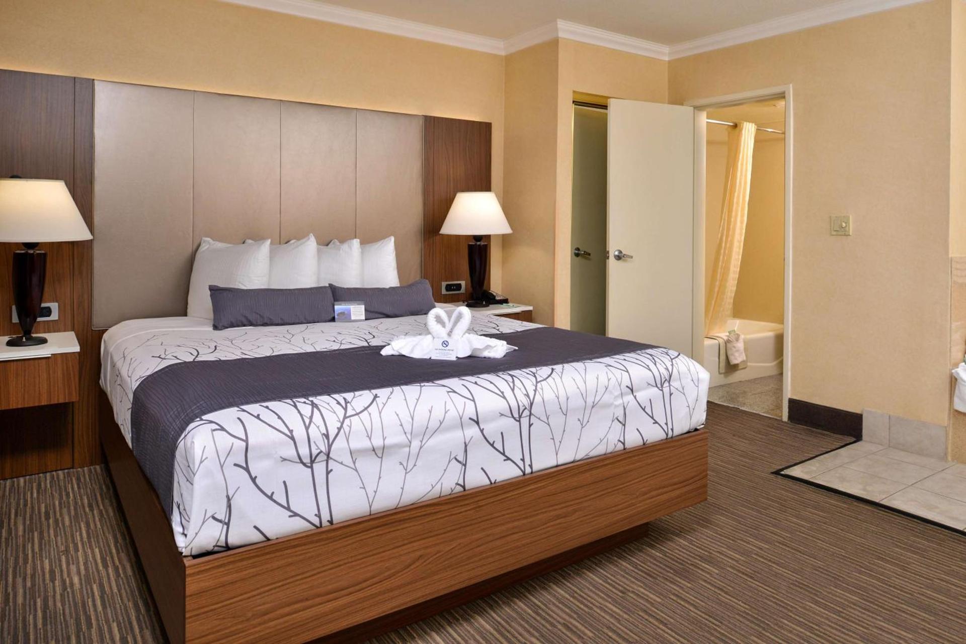 Best Western Hollywood Plaza Hotel - Walk of Fame Film City LA photo 25